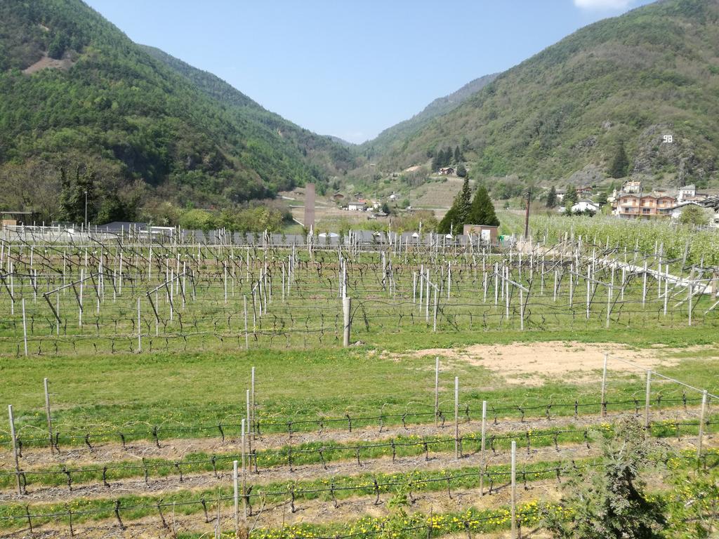 Agriturismo Le Cavade Cembra Lisignago Εξωτερικό φωτογραφία